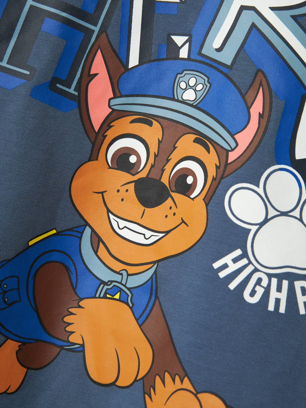 NAME IT Paw Patrol longsleeve blauw