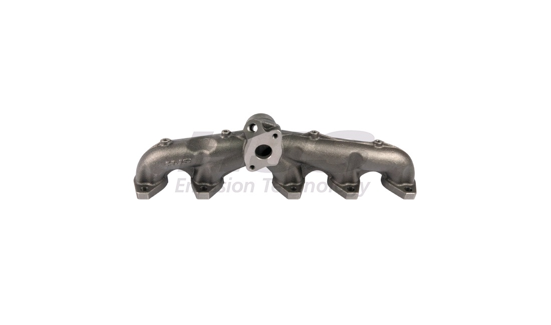 Manifold
