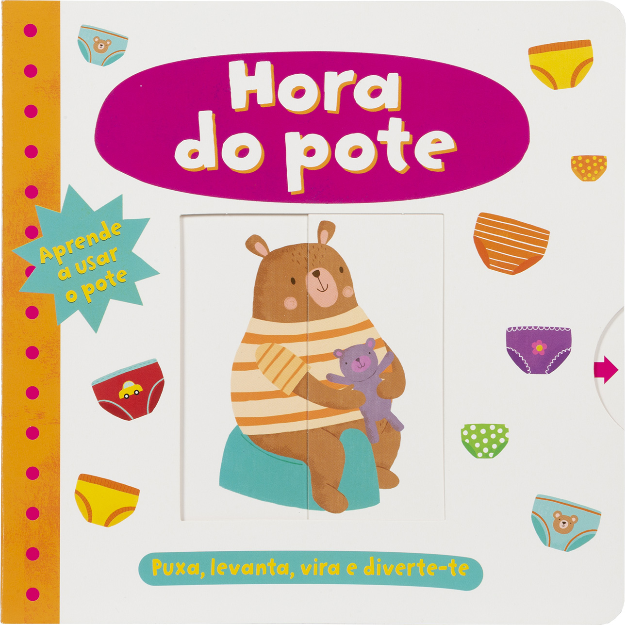 LIVRO HORA DO POTE