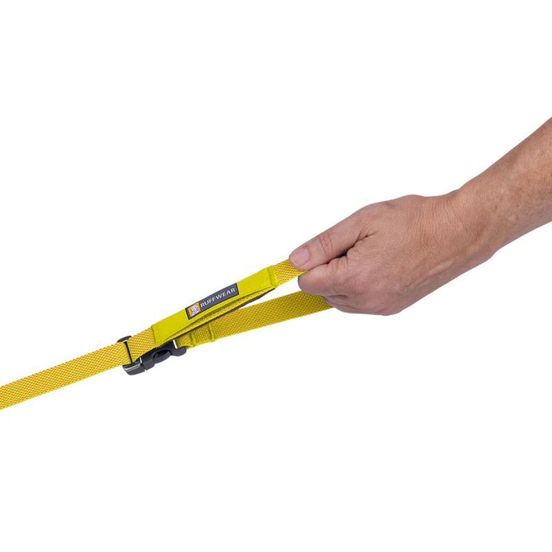 Flagline Leash - Laisse pour chien