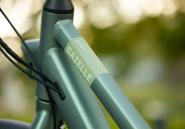 Gazelle Esprit C7 HMS Moss Green - Elcykel - 2025