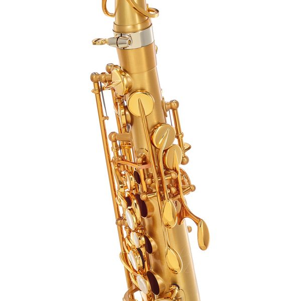 Selmer Signature Alto Sax SE-ASIM