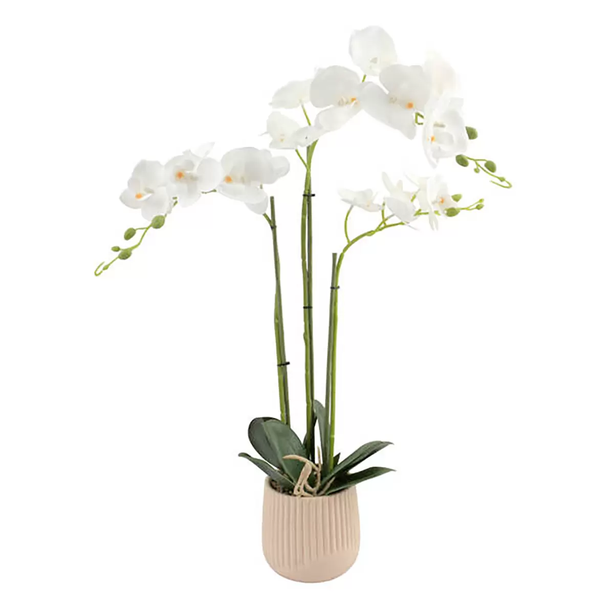 Kunstblume Orchidee Luca Bessoni weiss