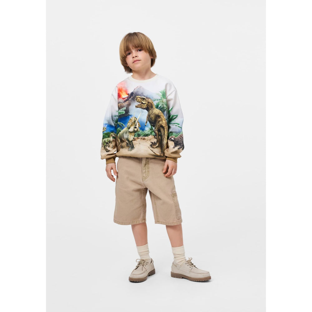 Køb Molo Hot Spring Dinos Miksi Sweatpants