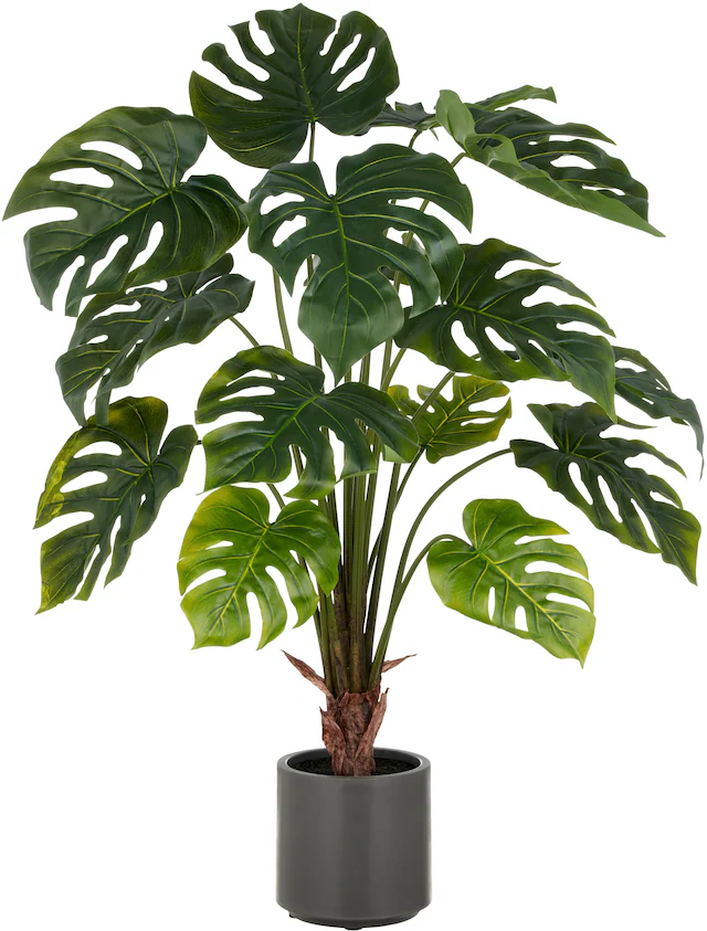 Creativ green Kunstpflanze »Splitphilodendron« mit naturgetreuem Blattwerk