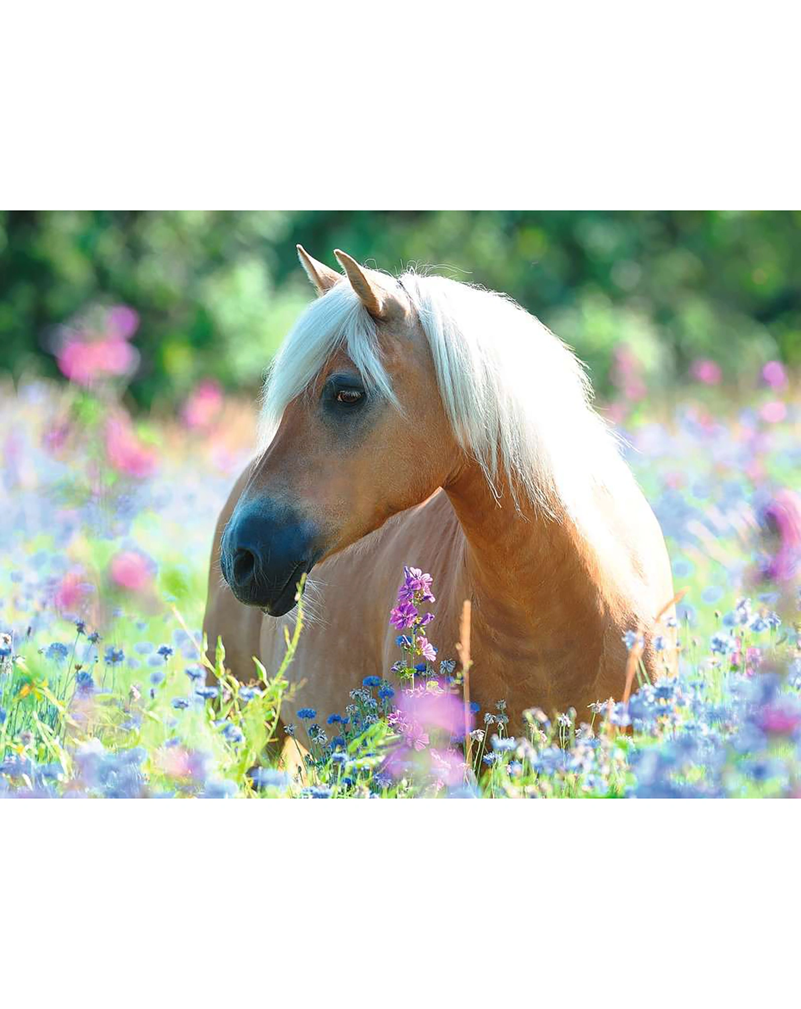 Puzzle PFERD IM BLUMENMEER 300-teilig