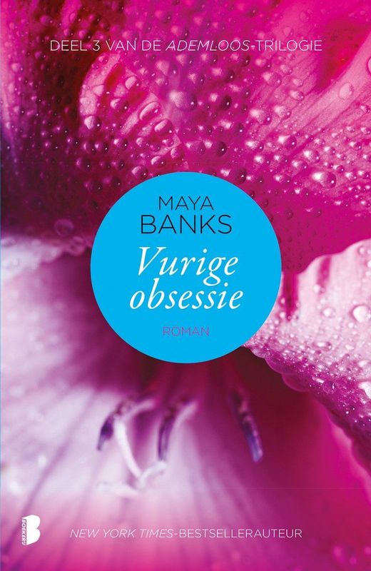 Literatuur - Deel 3 - Erotische Trilogie - Maya Banks