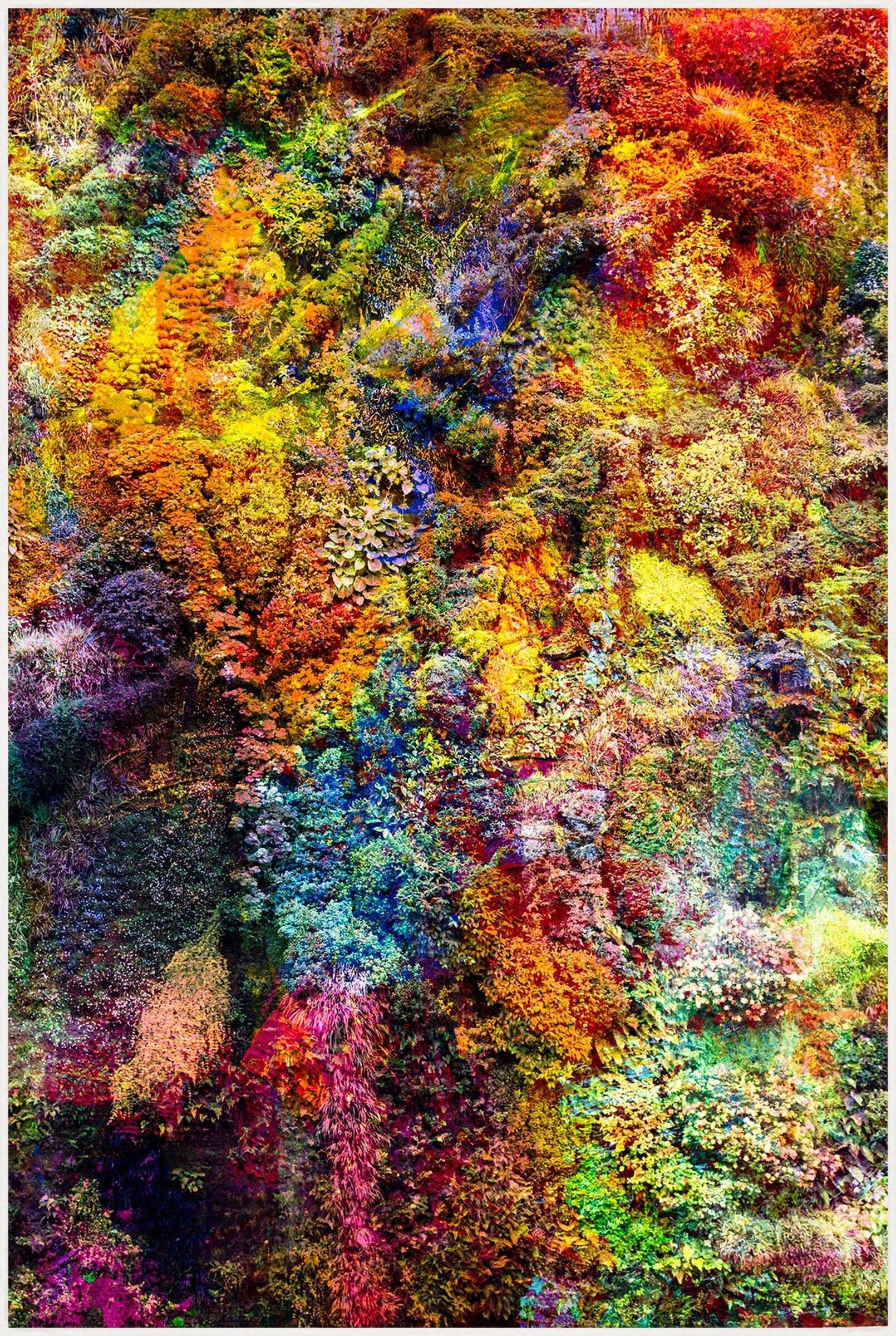 Wall of Nature XXIII by Viet Ha Tran - Limited Edition. Edition of: 150. Signed.