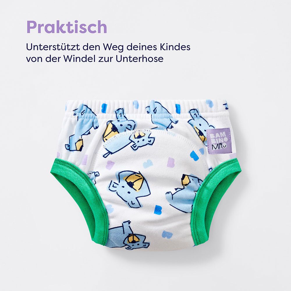 Bambino Waschbare Lernhöschen Revolutionäres Muster - Himmel