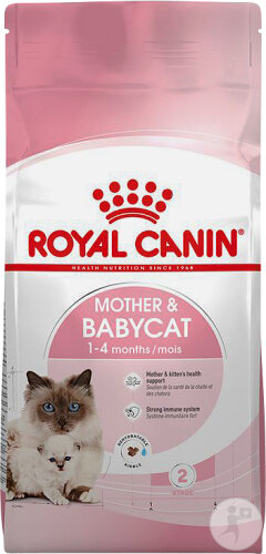 Royal Canin Mother & Babycat Aliment Complet Chatte Et Chatons 1er Âge 2kg