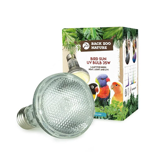 Back Zoo Nature Bird Sun UV-Lamp