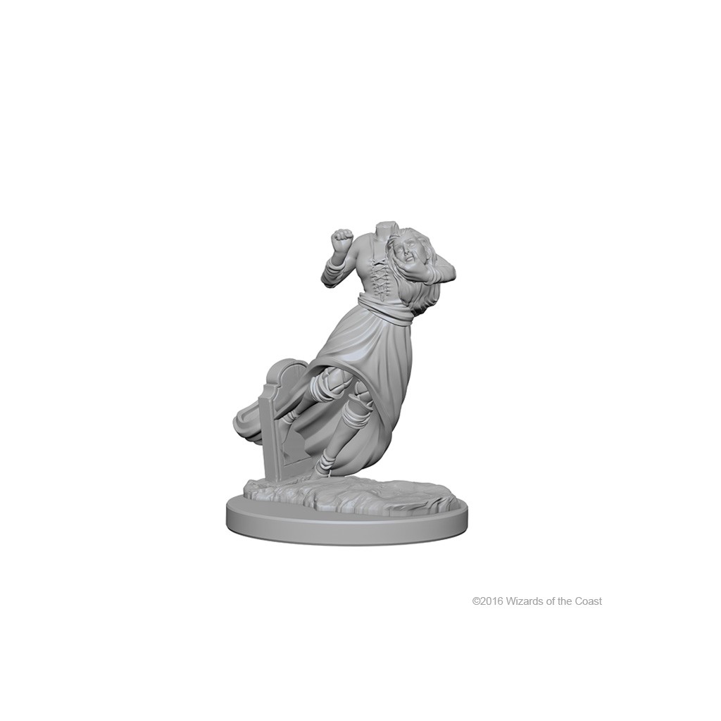 D&D Nolzur's Marvelous Unpainted Miniatures: Ghosts