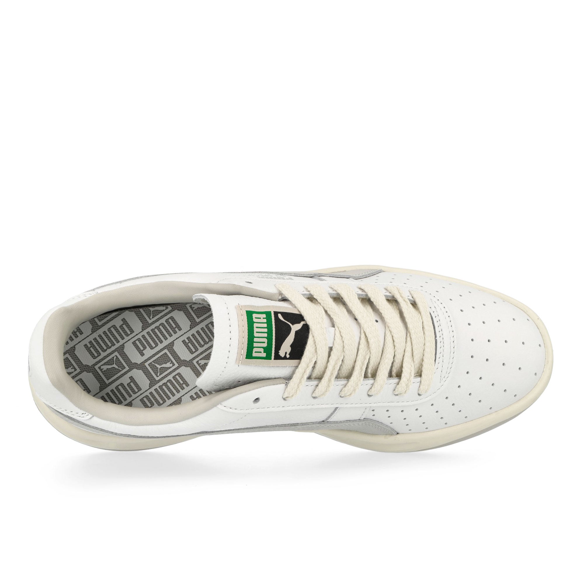 Puma<br>GV Special Base
