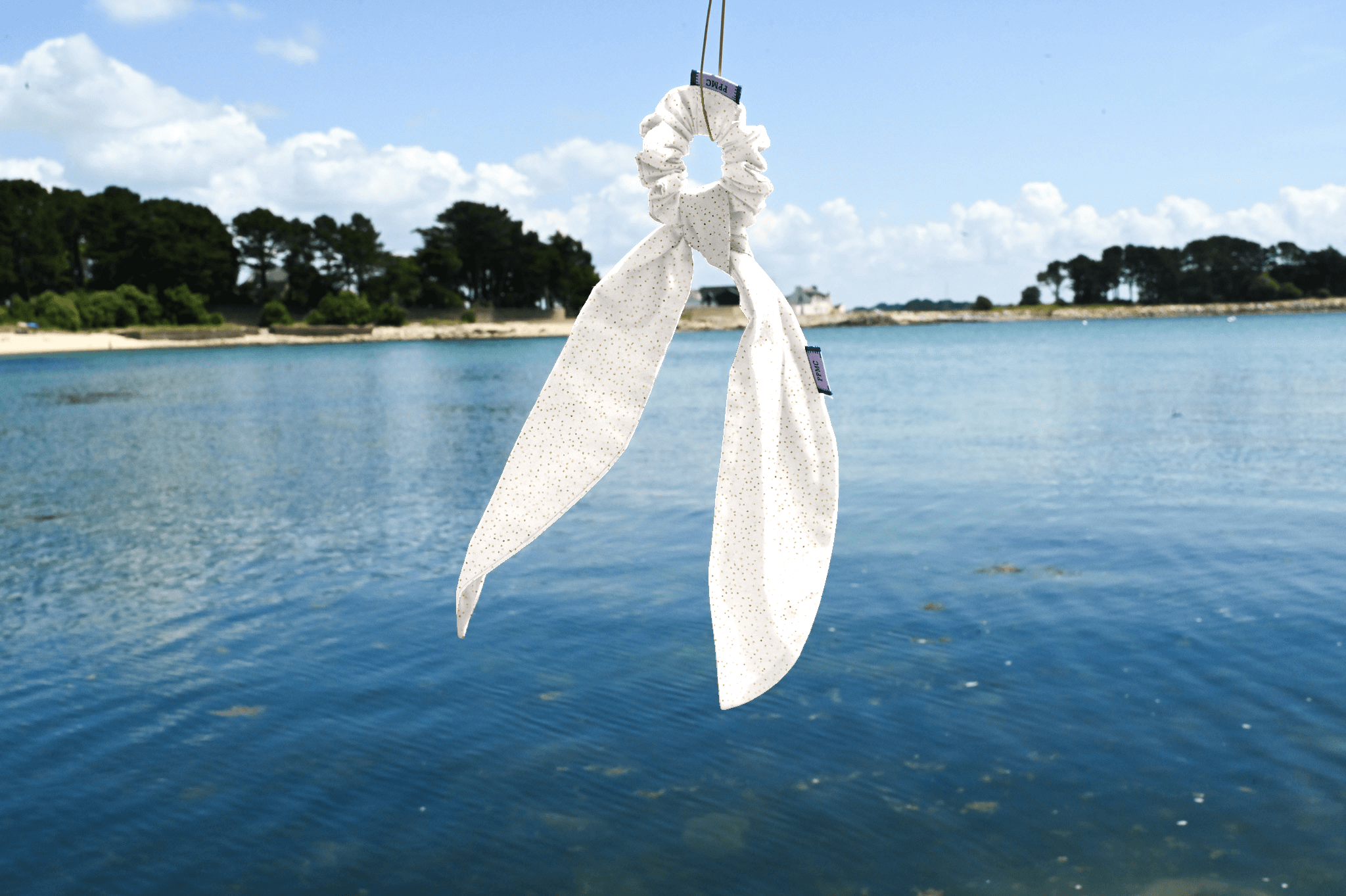 Foulchie Court Blanc Pailleté