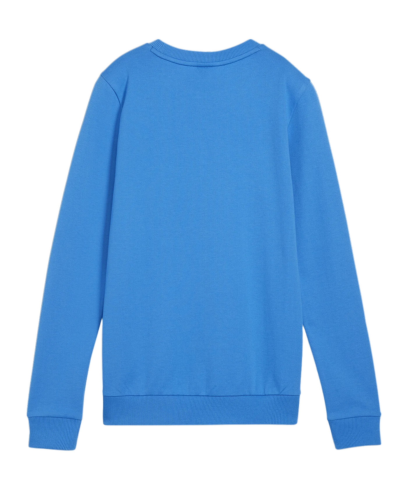 PUMA teamGOAL Casuals Sweatshirt Damen Blau F02