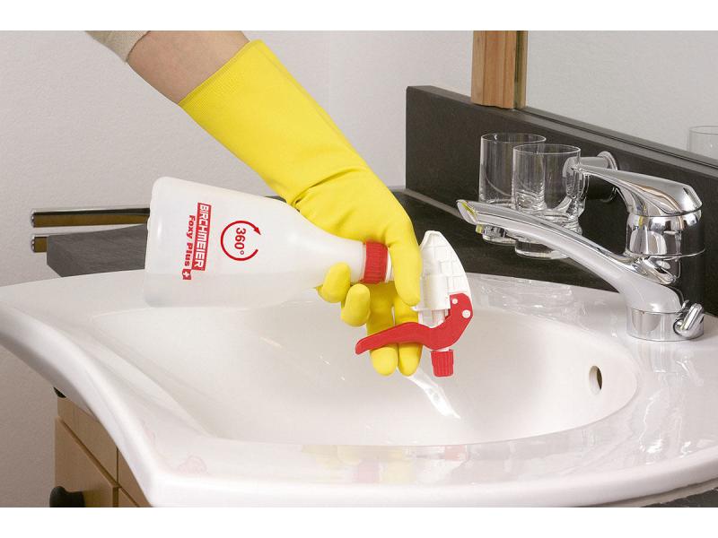 Birchmeier Handsprüher Foxy Plus Handsprühgerät mit leistungsfähiger Kolbenpumpe