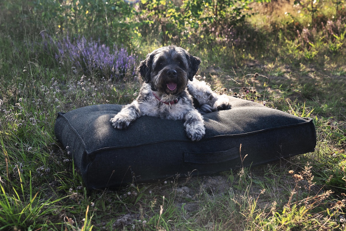 Chill Dept Takoda Charcoal Large Hondenkussen