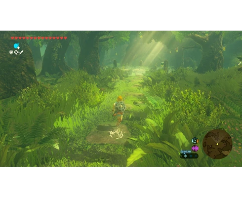 Nintendo The Legend of Zelda: Breath of the Wild (Switch 2)