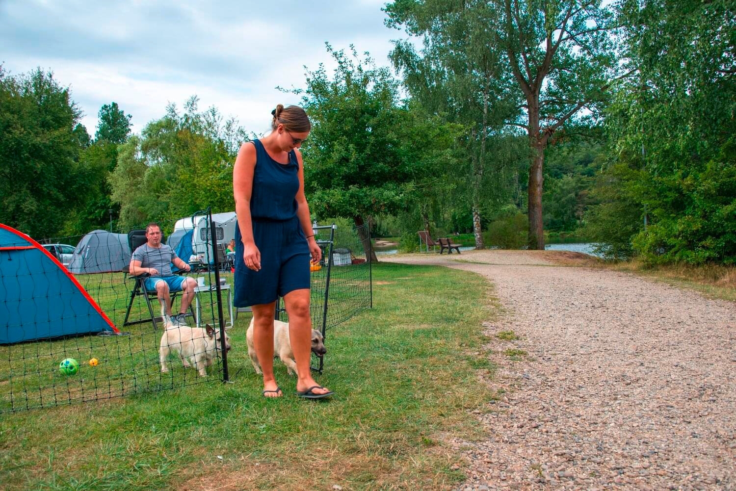 Horizont Hotgate Tor für Farmer Hundezaun