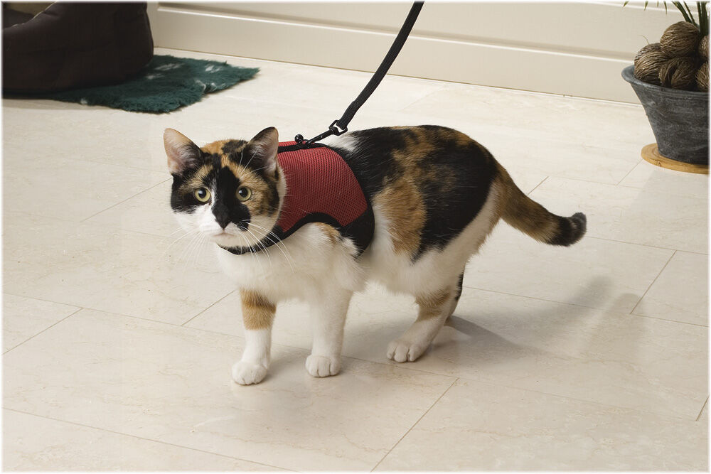 Beeztees Loopharnas Comfort - Kattentuigje - Rood