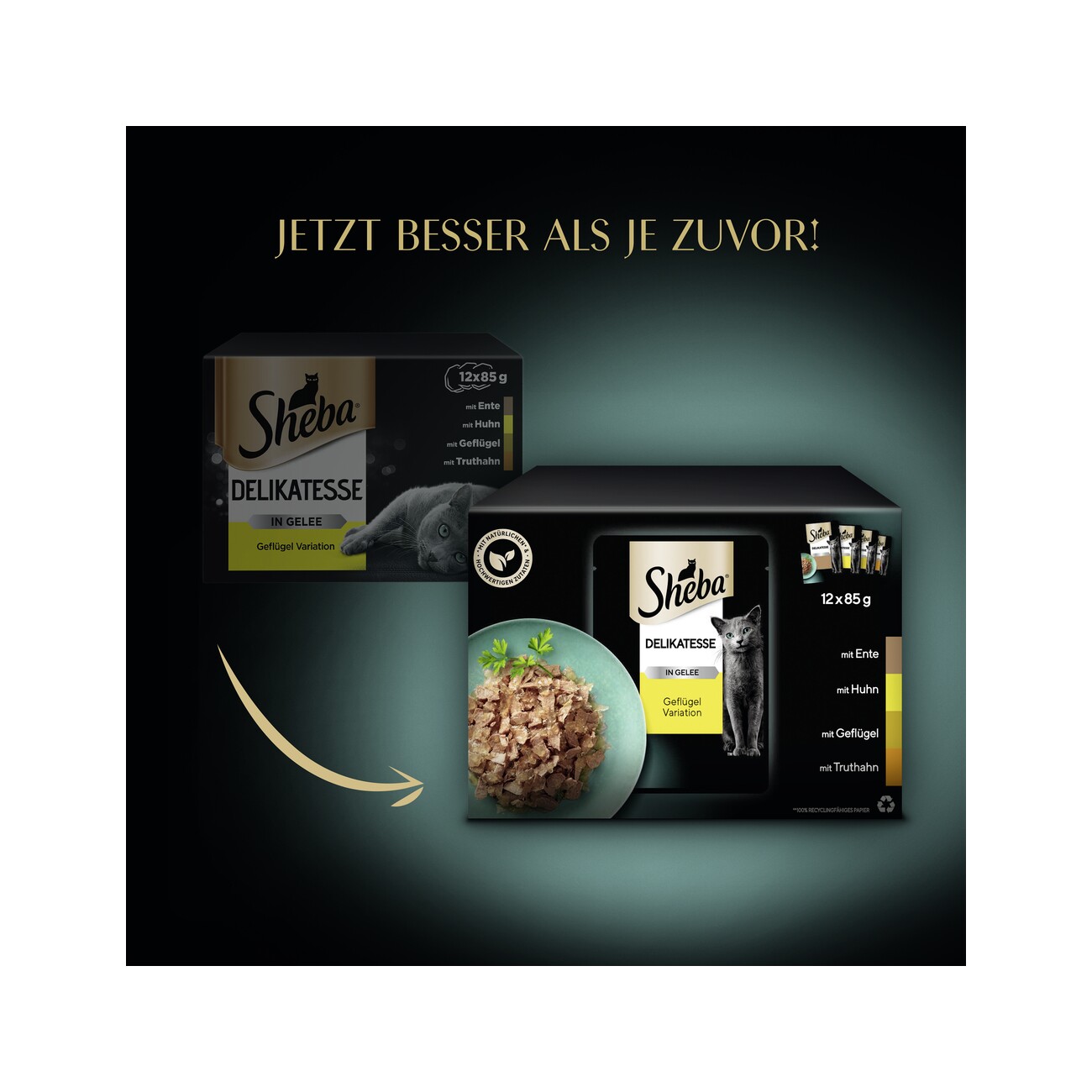 Sheba Delikatesse in Gelee 12x85g