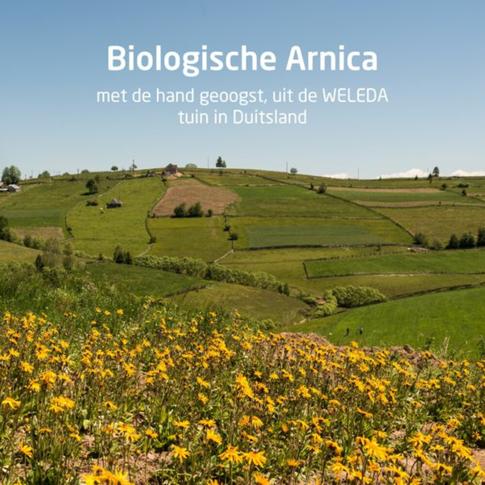 WELEDA Arnica Sport Massageolie100 ml