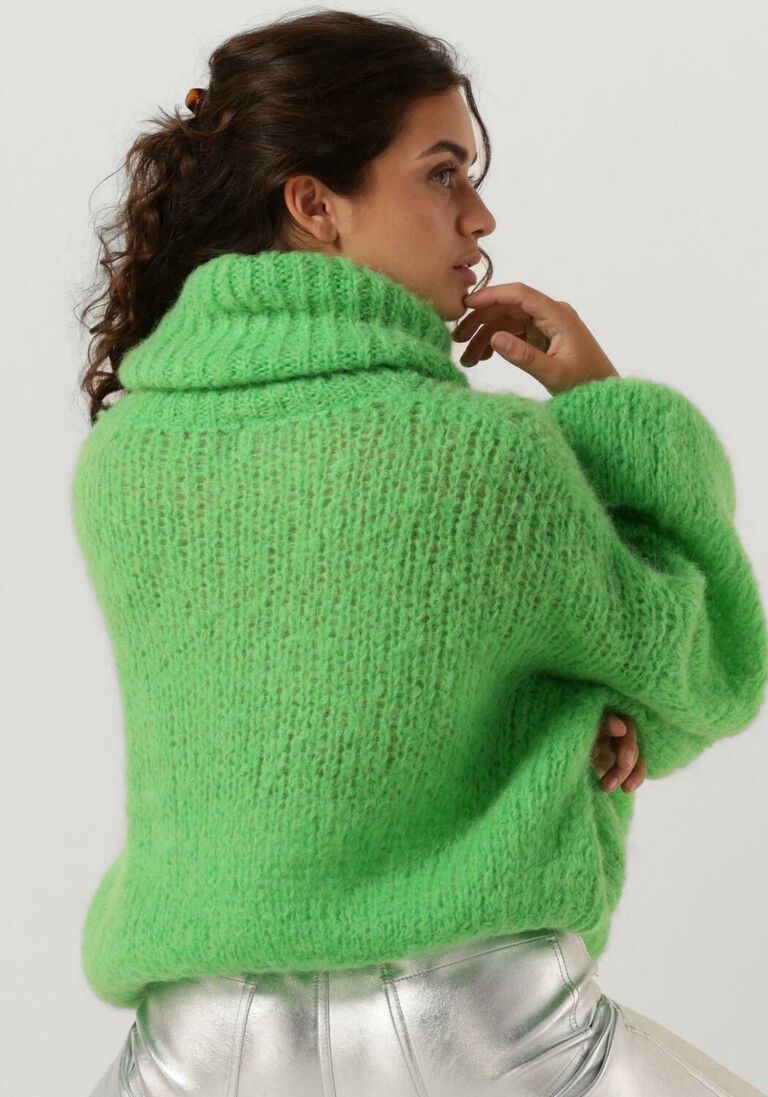 AMERICAN DREAMS groene american dreams coltrui pepper roll neck cropped