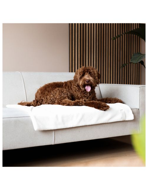 District 70 Nuzzle Blanket 100x70 cm - Hondendeken
