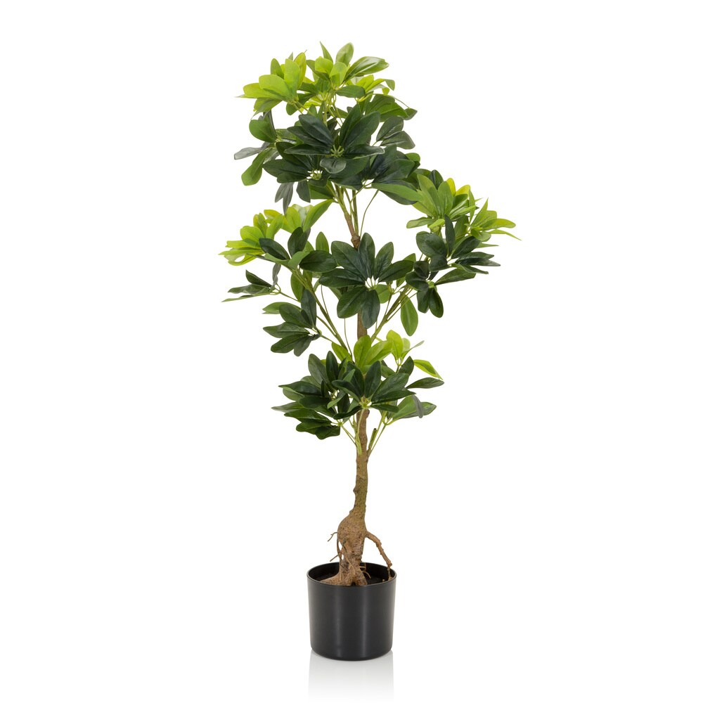 Kunstpflanze SCHEFFLERA Kunststoff, Stoff hjh OFFICE
