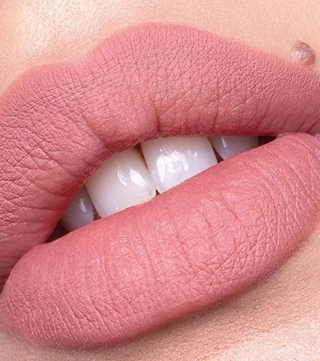 Catrice - Delineador labial Plumping Lip Liner - 010: Understated Chic