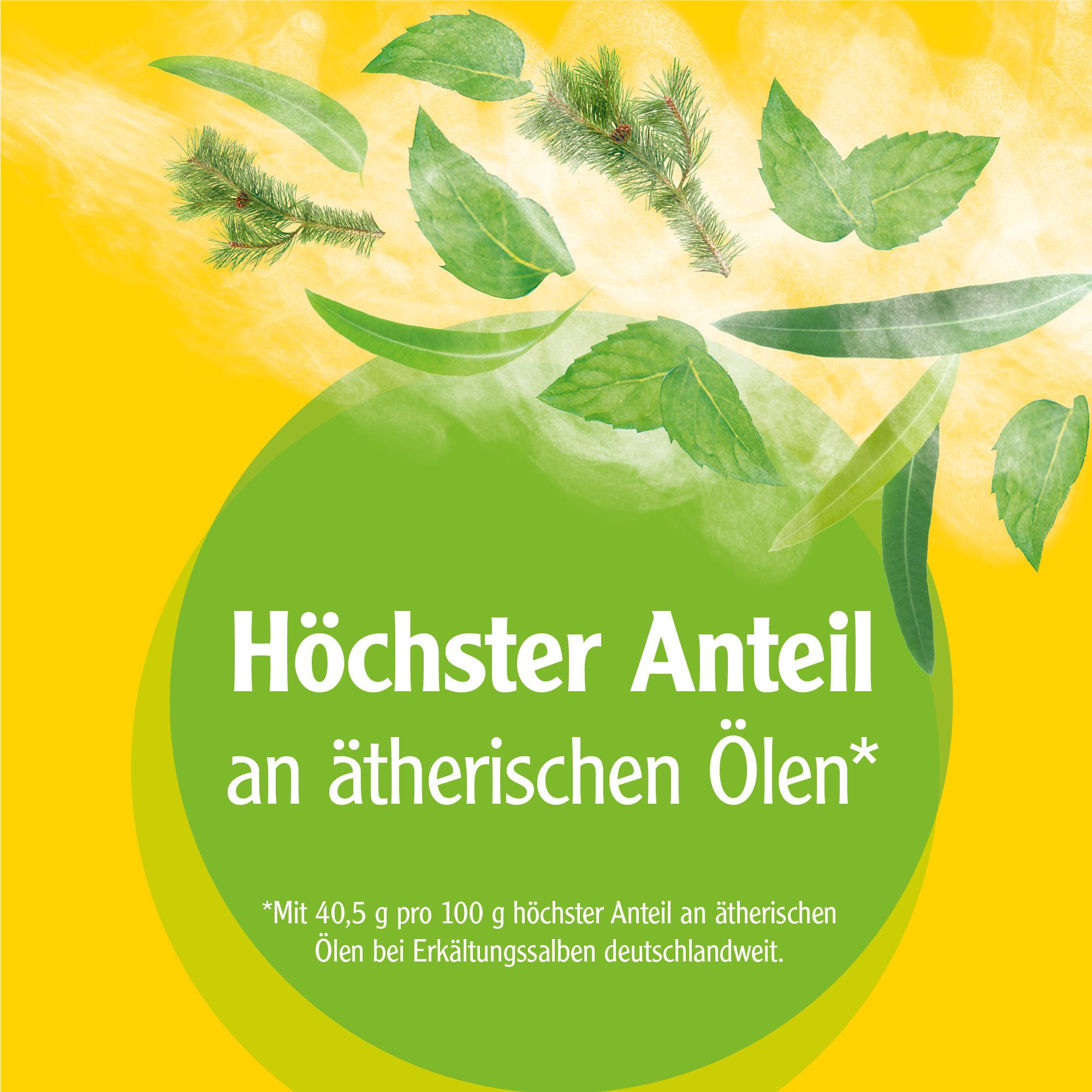Pinimenthol® Erkältungssalbe ab 12 Jahren - mit Eucalyptusöl, Kiefernnadelöl und Menthol