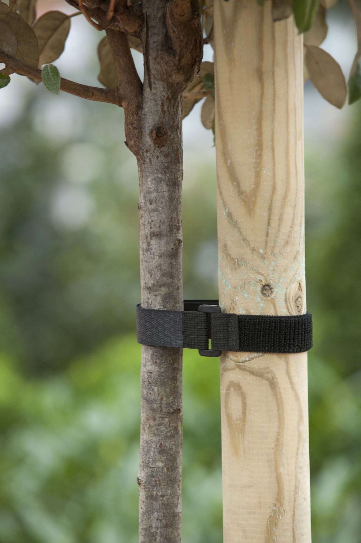 Nature boomband met klittenband en gesp 40 x 2,5cm 2 stuks