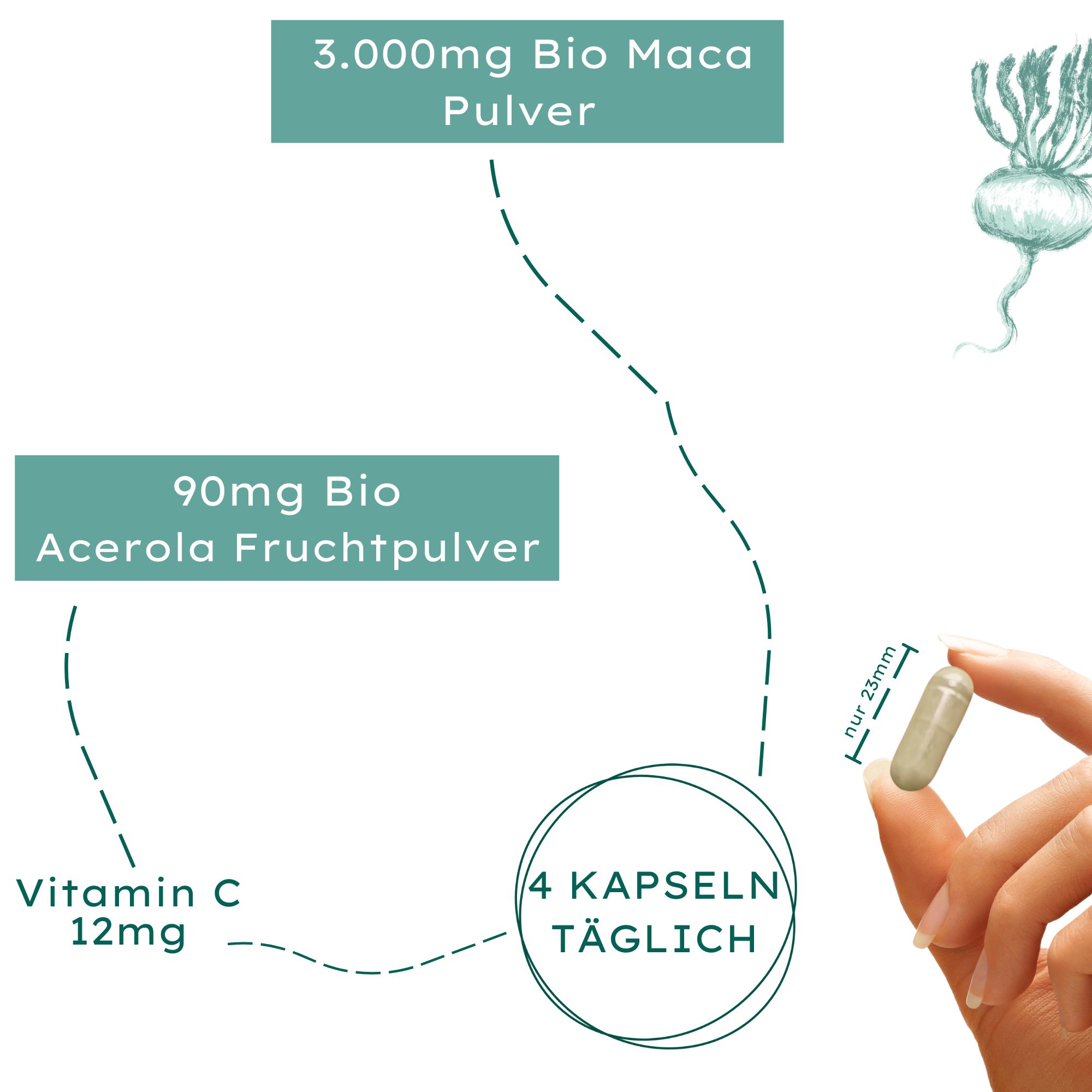 Nature Basics Bio Maca