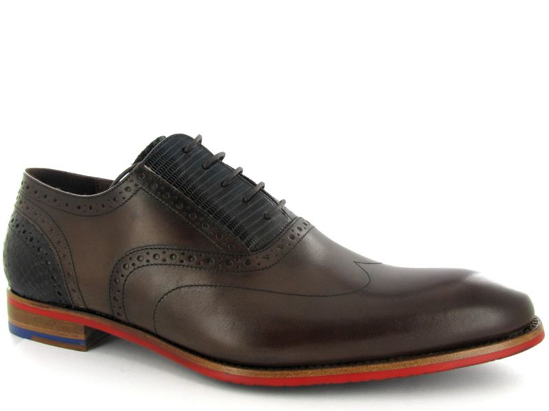 Floris van Bommel 19062 darkbrown