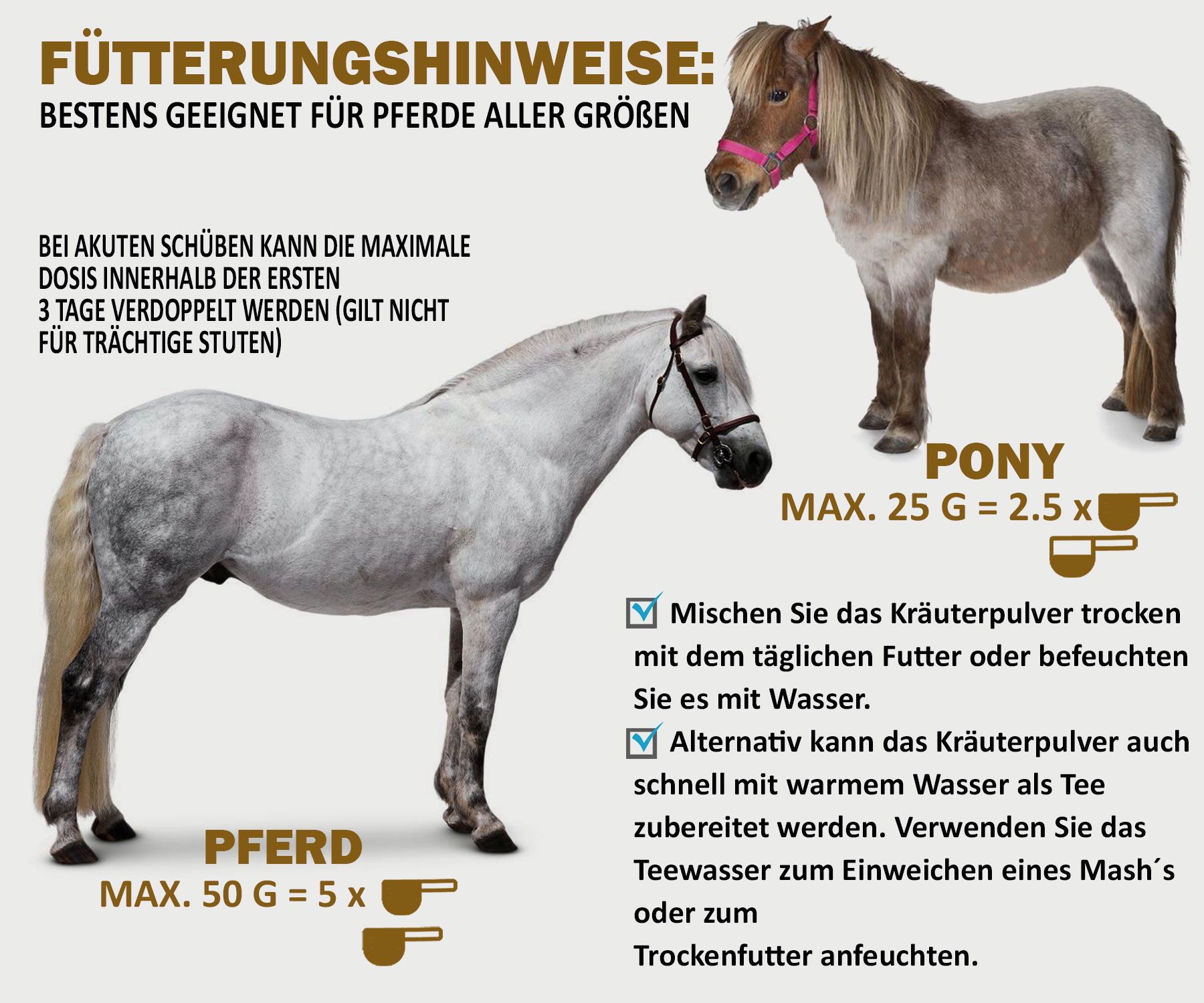 V-POINT® REHE Plus – Unterstützung bei Hufrehe - 100% pflanzlich