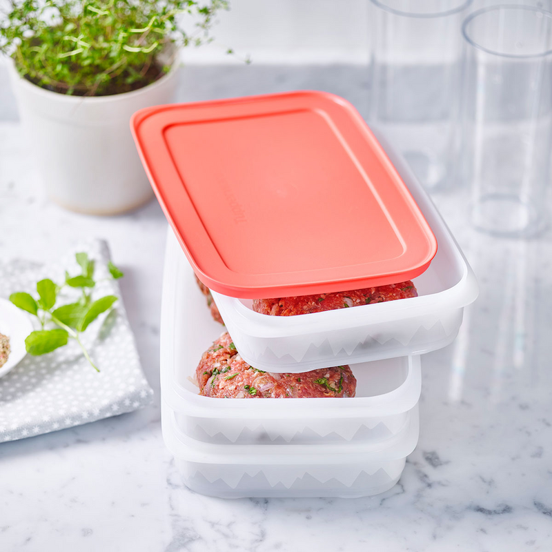 Eiskristall Stapelprofi Platzsparender Gefrierbehälter für Steaks, Schnitzel sowie Blätterteigstückchen, Stangenbohnen und vieles mehr
