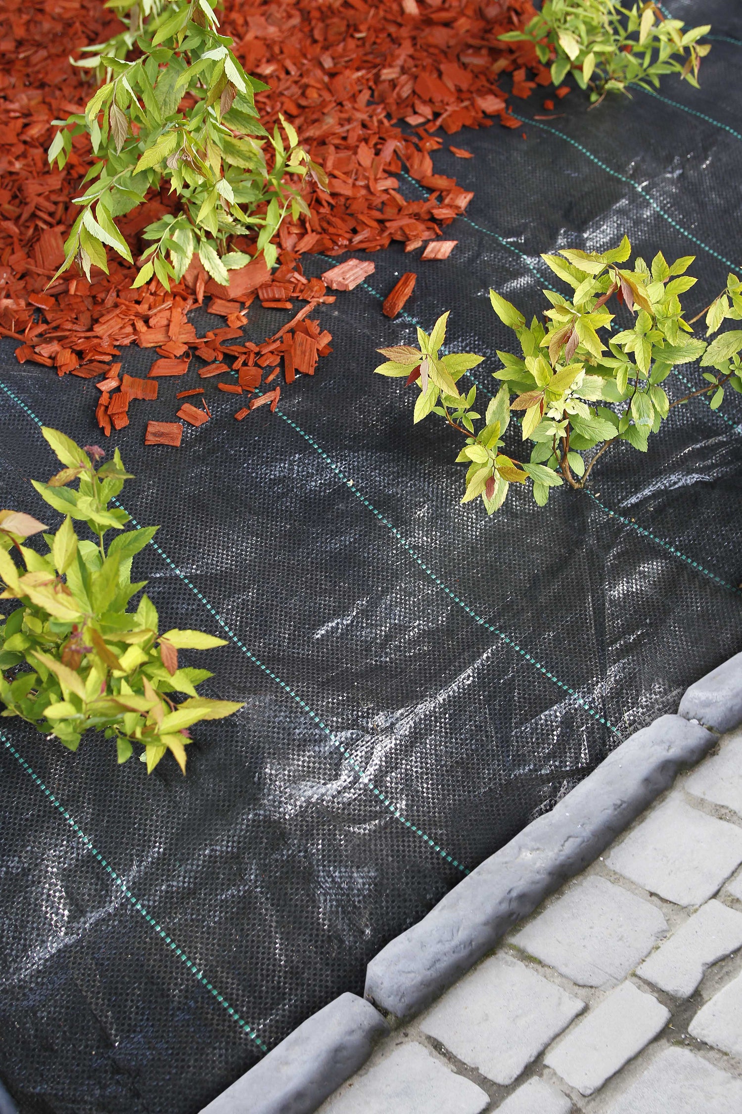 Nature worteldoek 4,2x5m zwart