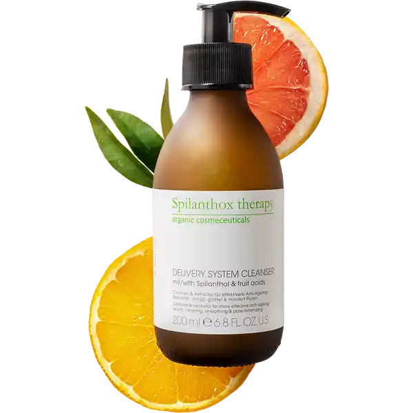 Delivery System Cleanser