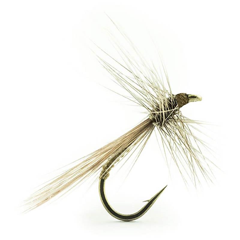Mouche Devaux Terrestre Perlide 412
