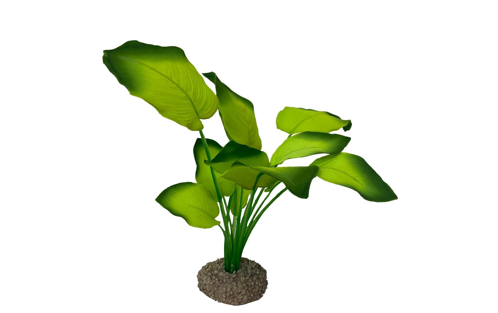 Kunstpflanze Anubias 3, 20 cmDekorationspflanze