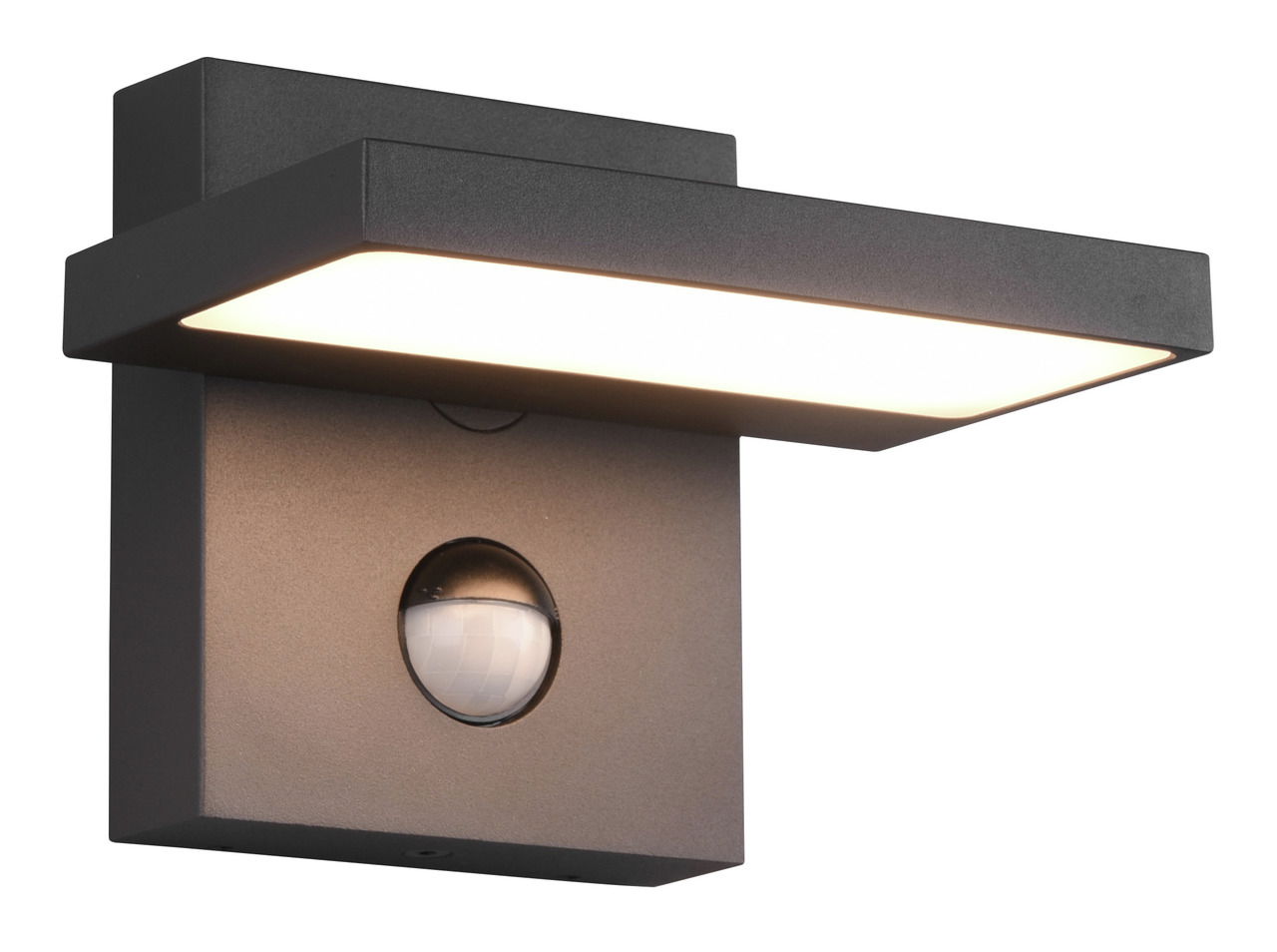Trio Leuchten LED Außen-Wandleuchte HORTON