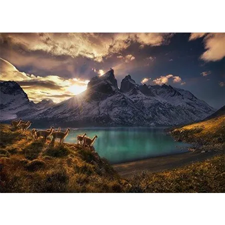 Heye Guanacos Standard Puzzle, 1000 Teile