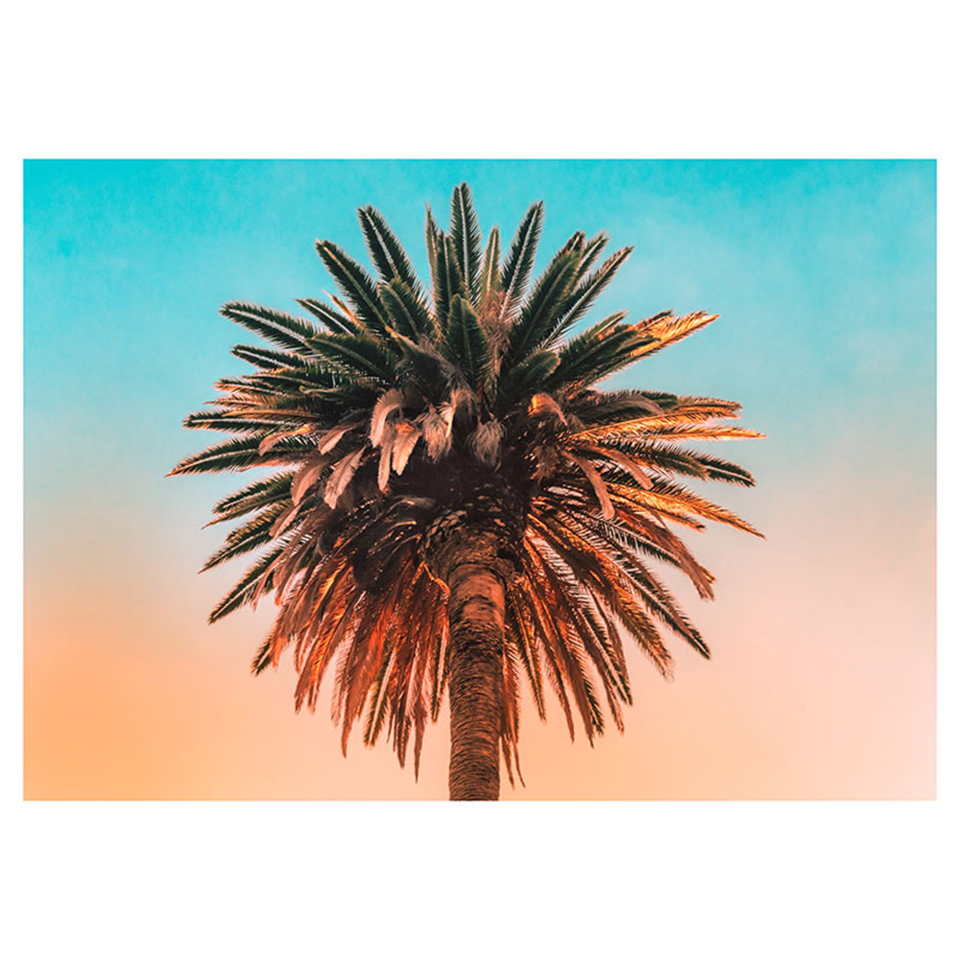 Wandbild PALM TREE - bunt - 70x50 cm