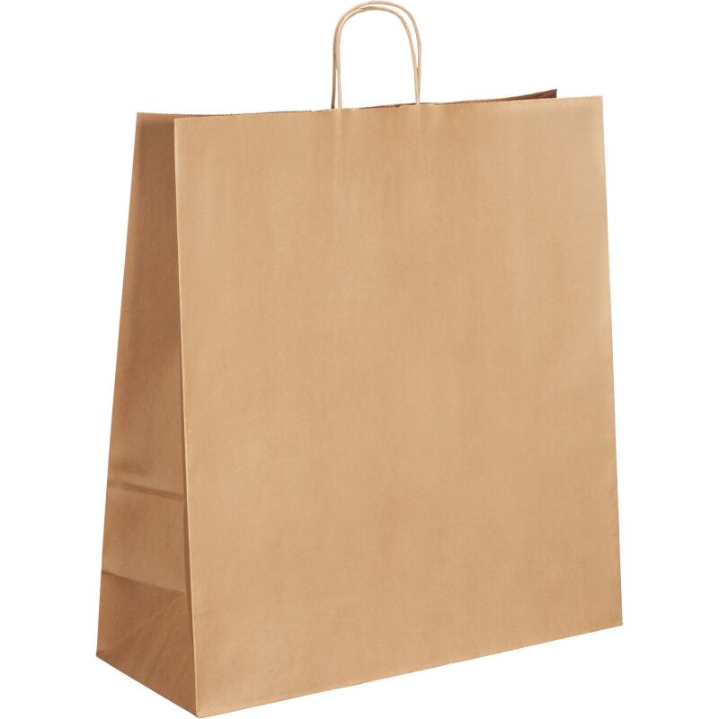 Sacs kraft brun poignées torsadées 110 g/m² - 50 sacs