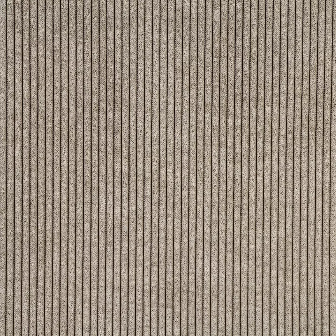 Rideau isolant obscurcissant (140 x 260 cm) Alberta Beige