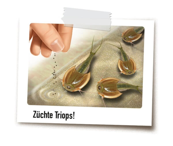 Ravensburger 189069 ScienceX® WOW Triops & Dinosaurier