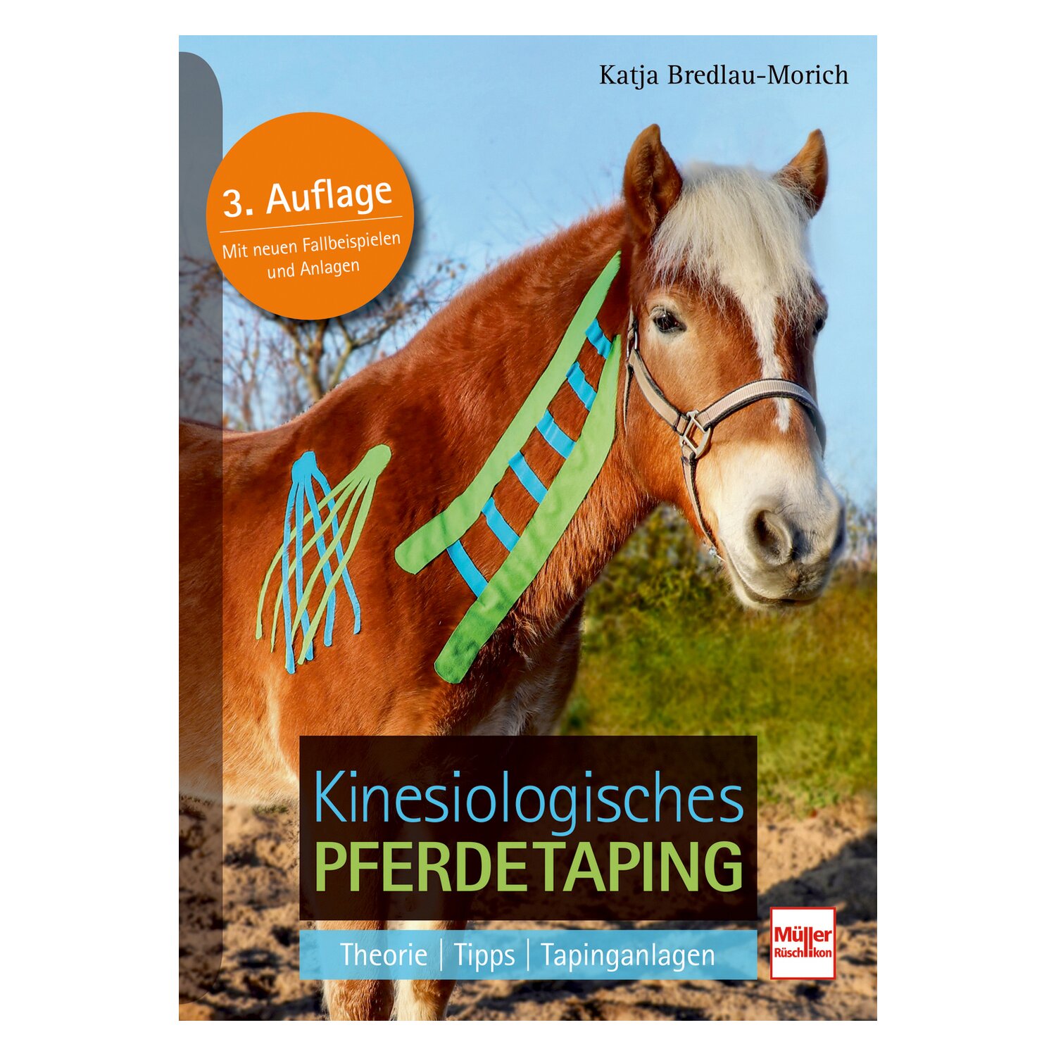 Kinesiologisches Pferdetaping