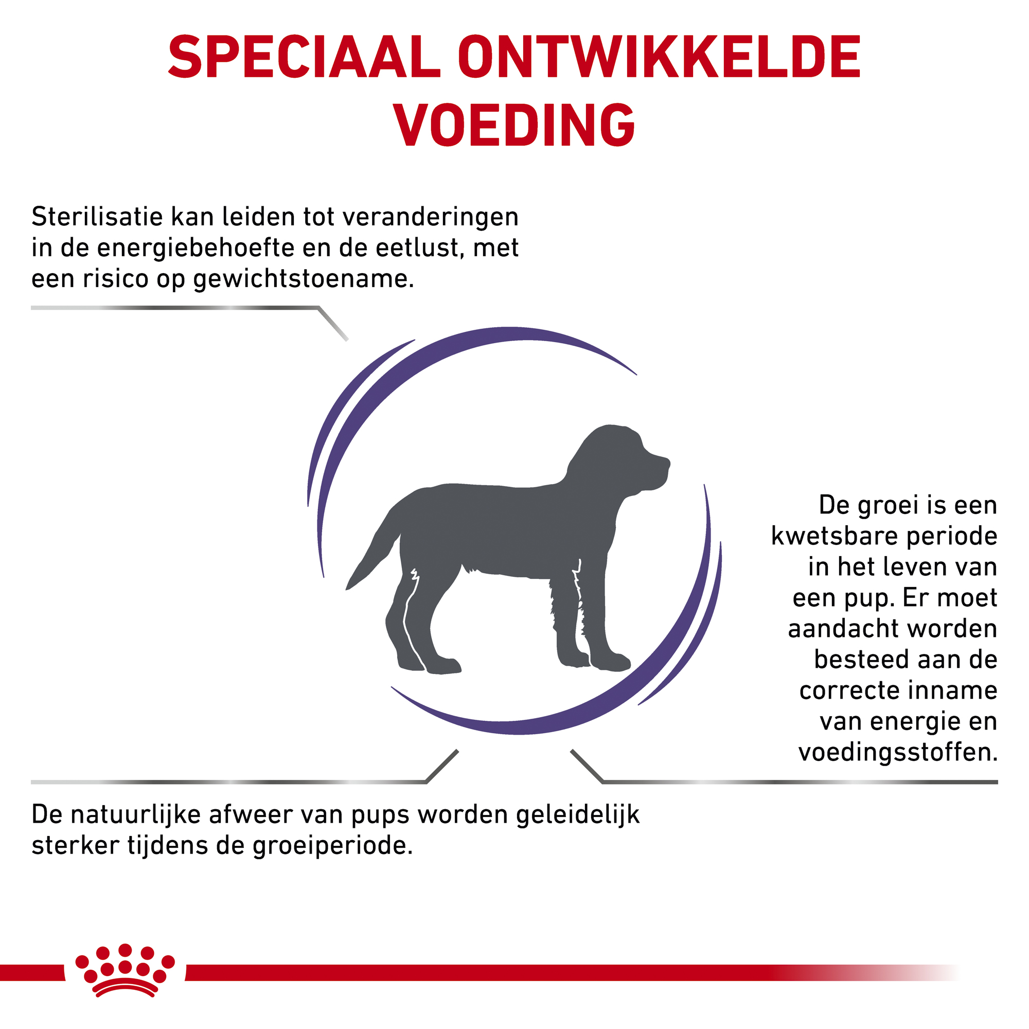 Royal Canin VCN - Neutered Junior Medium Dog