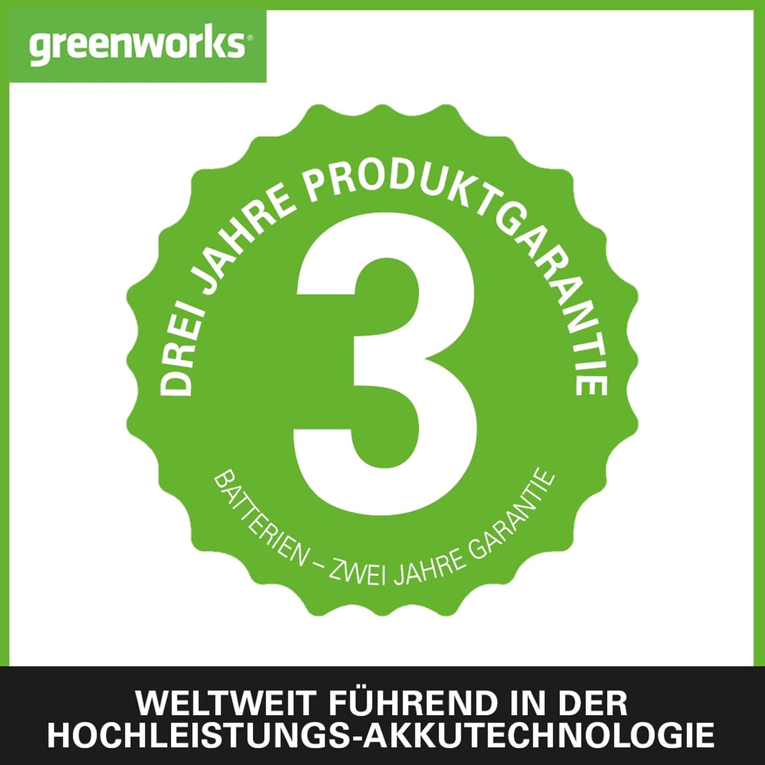 Greenworks Akku-Rasenmäher 48V (2x24V) Li-Ion 41cm Schnittbreite bis zu 220m² 50L Grasfangkorb 6-fache zentrale Schnitthöhenverstellung inklusive 2x 2Ah Akku und Ladegerät,G2x24LM41K2