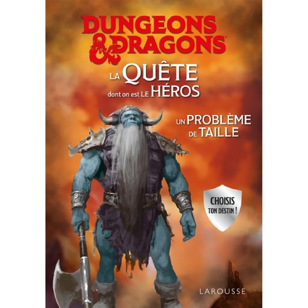 DUNGEONS & DRAGONS La Quête dont on est le héros : Un problème de taille